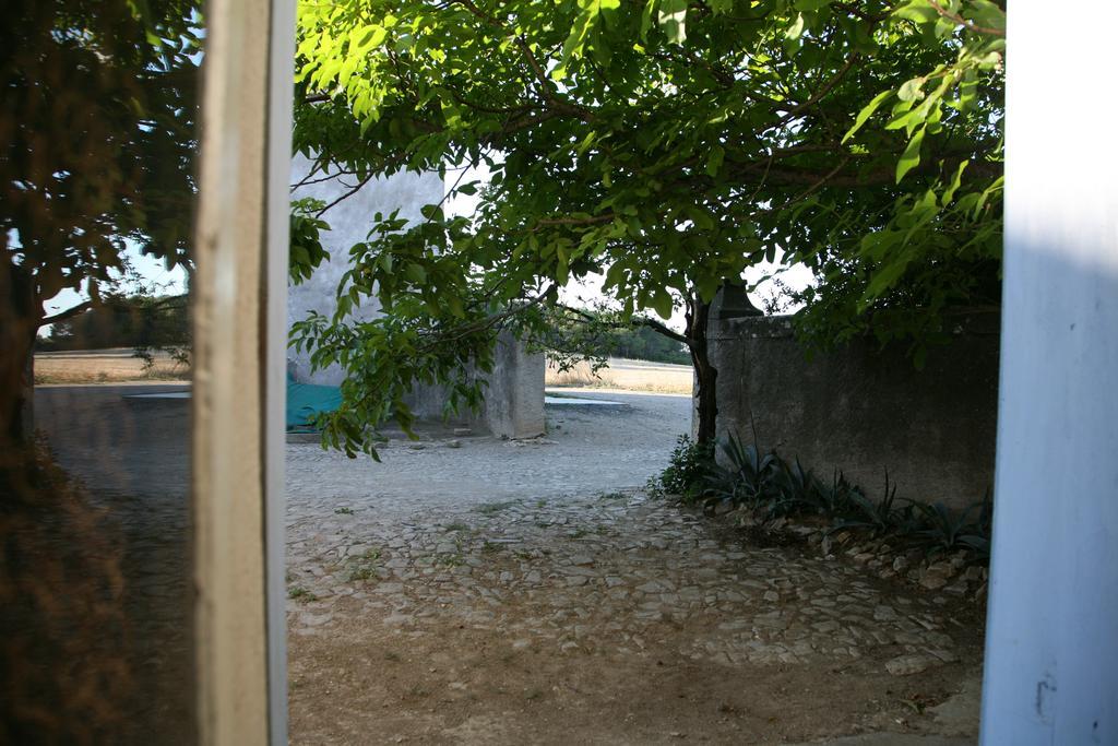 Saint Paul Le Marseillais Gites Mèze Exterior foto